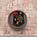 Kisdió Dég
