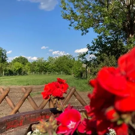 Apartament Kisdio Vendeghaz *