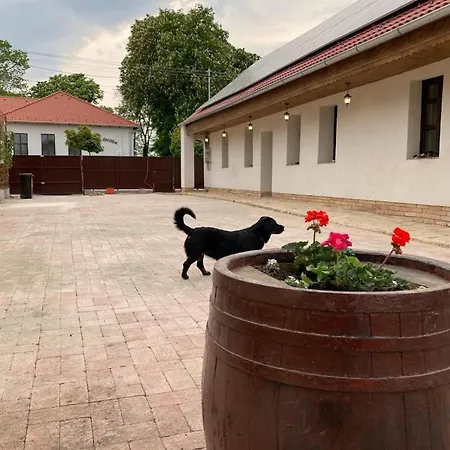 Apartament Kisdio Vendeghaz